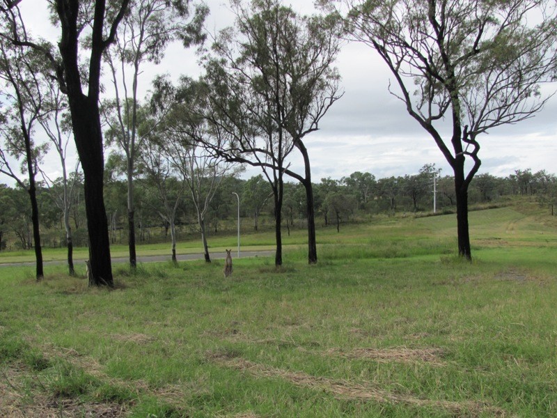 46 WALKER DRIVE, Calliope QLD 4680