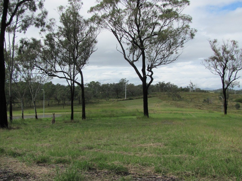 46 WALKER DRIVE, Calliope QLD 4680