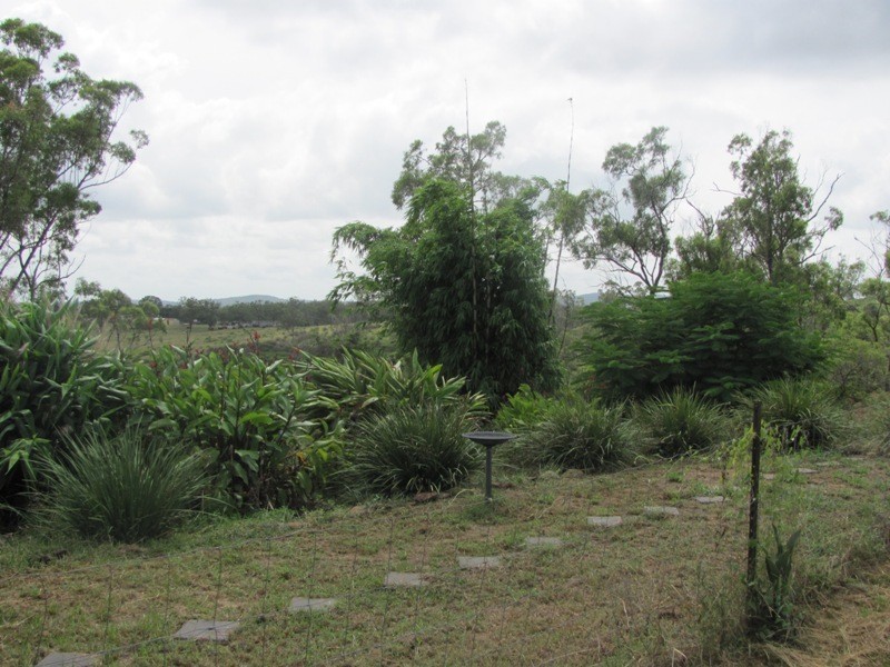 227 Gentle Annie Road,Ambrose, Mount Larcom QLD 4695