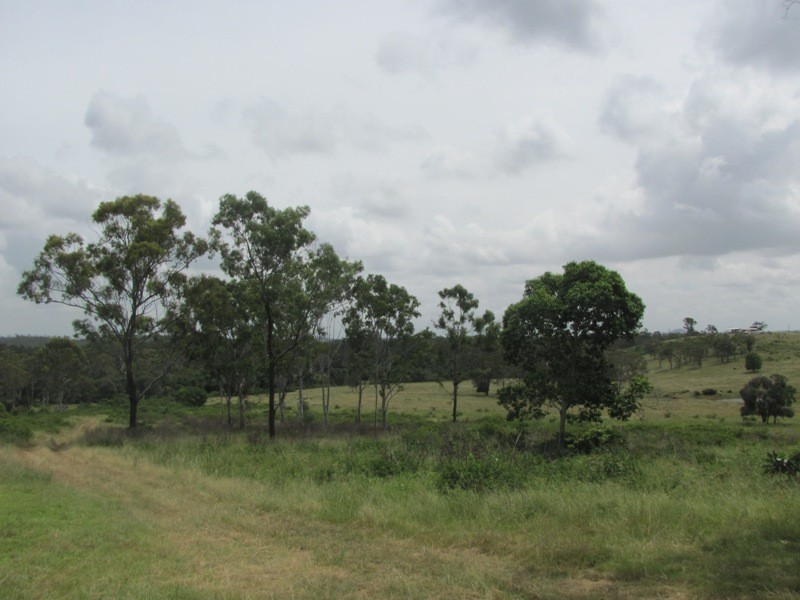 227 Gentle Annie Road,Ambrose, Mount Larcom QLD 4695