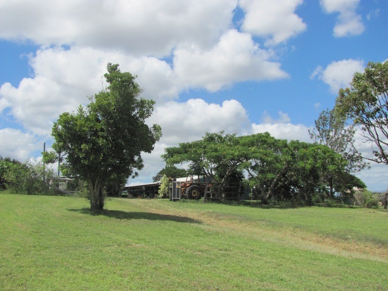 610 DARTS CREEK ROAD, Darts Creek QLD 4695