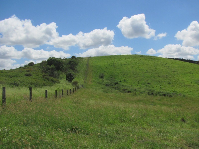 610 DARTS CREEK ROAD, Darts Creek QLD 4695