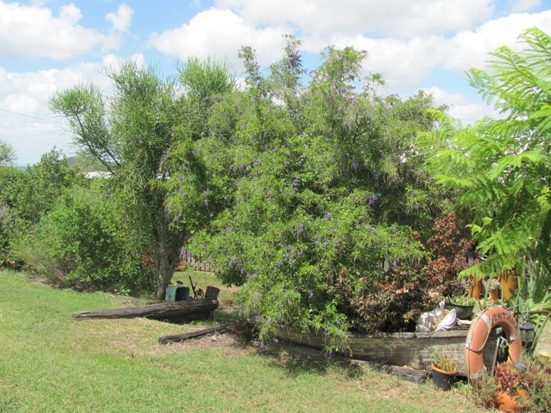 610 DARTS CREEK ROAD, Darts Creek QLD 4695