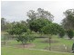 11 Aquarius Avenue, Calliope QLD 4680