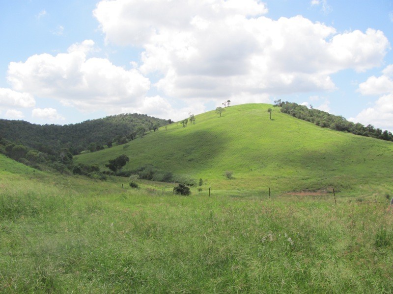 610 DARTS CREEK ROAD, Darts Creek QLD 4695