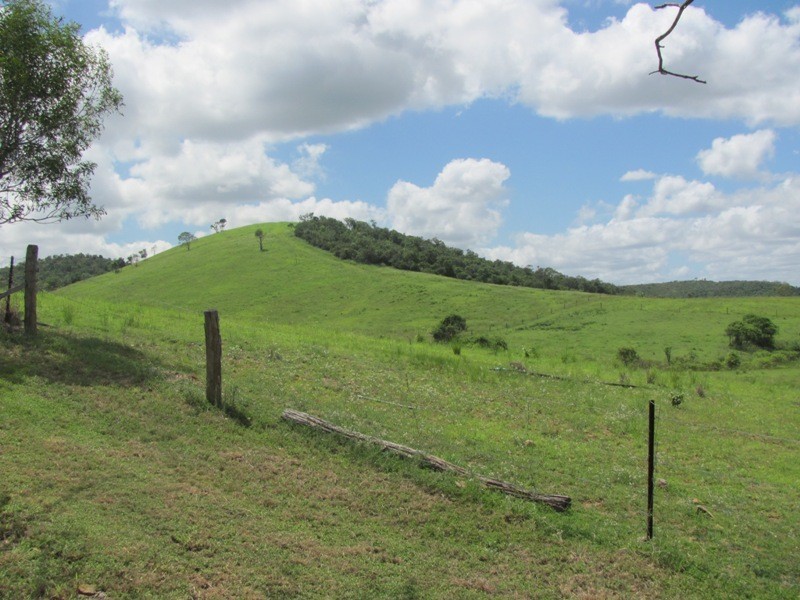 610 DARTS CREEK ROAD, Darts Creek QLD 4695