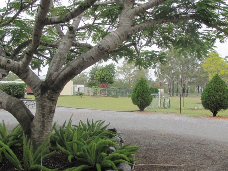 11 Aquarius Avenue, Calliope QLD 4680