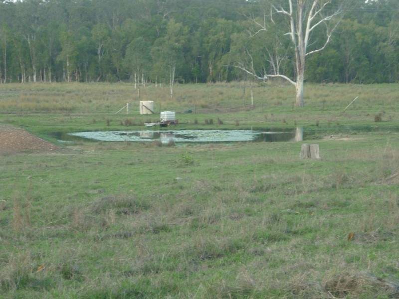 169 Carige Road, Calliope QLD 4680