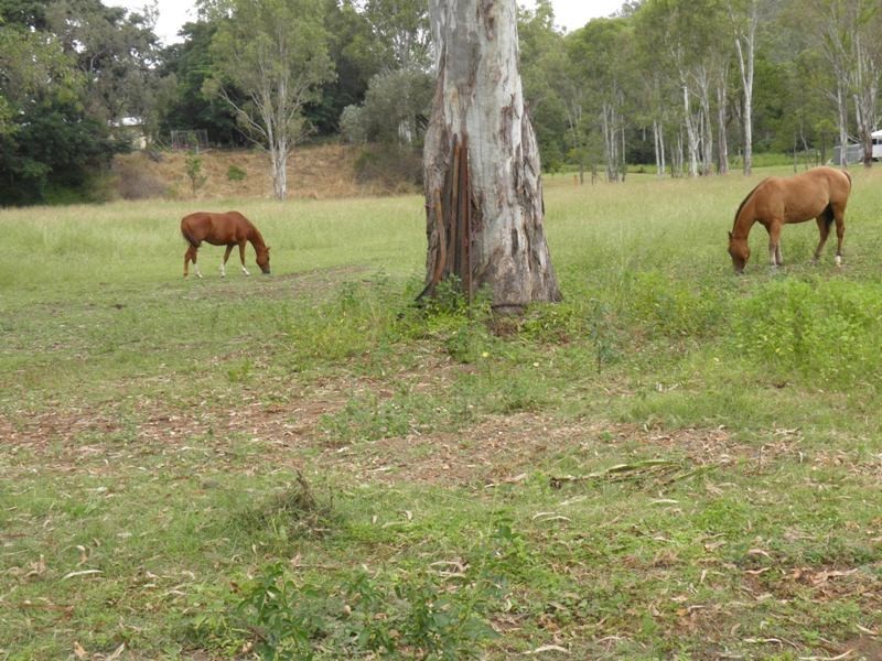 21 (Lot 22) Laird Road, Boyne Valley QLD 4680