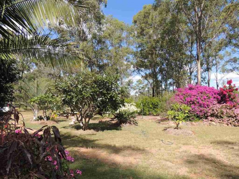 291 Darts Creek Road, Darts Creek QLD 4695