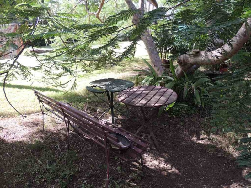 291 Darts Creek Road, Darts Creek QLD 4695