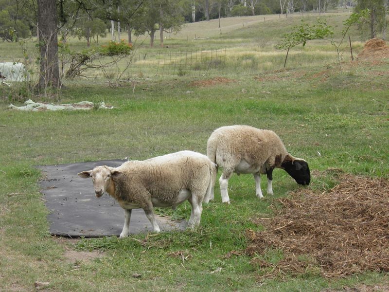 285 Norton Road, Boyne Valley QLD 4680