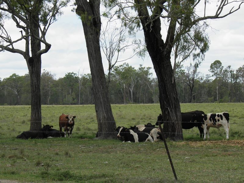 285 Norton Road, Boyne Valley QLD 4680