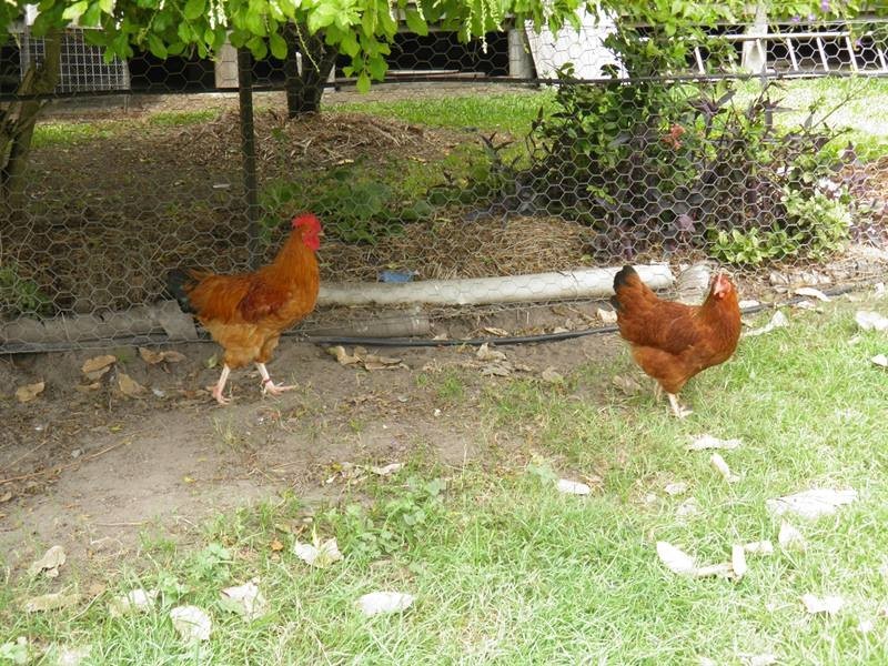 285 Norton Road, Boyne Valley QLD 4680