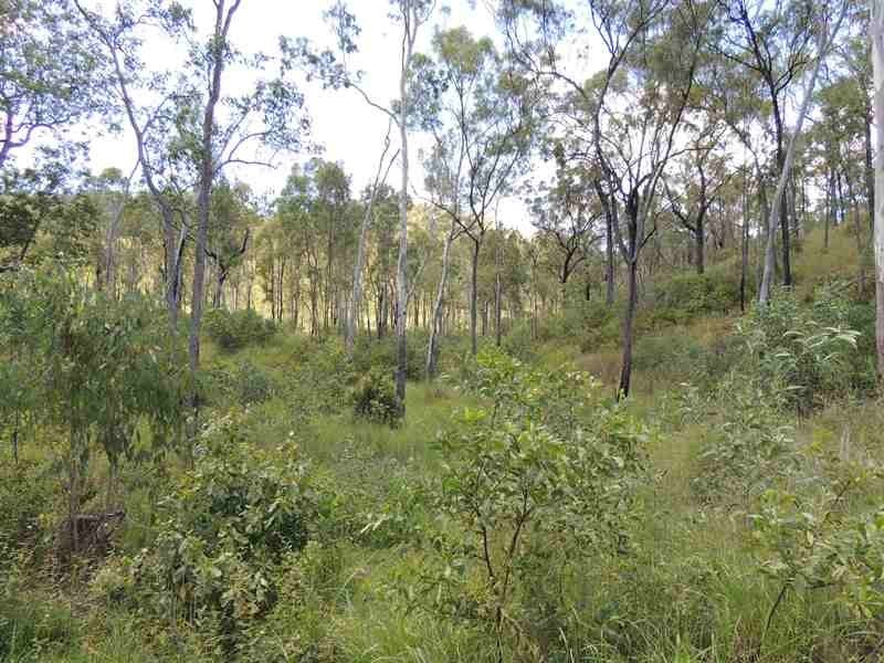 Lot 27 Unnamed Road, Mount Larcom QLD 4695