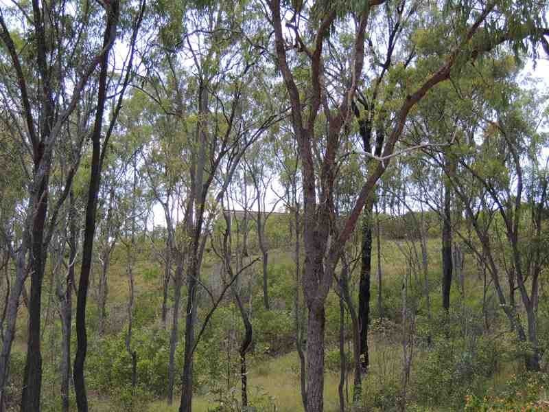 Lot 27 Unnamed Road, Mount Larcom QLD 4695