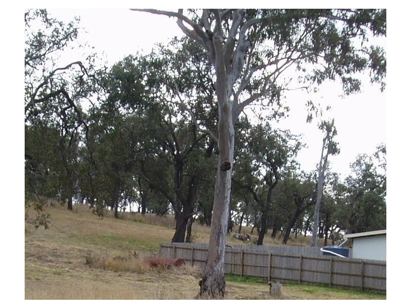 Lot 9 Pine Street, Kalpowar QLD 4630