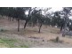 Lot 9 Pine Street, Kalpowar QLD 4630