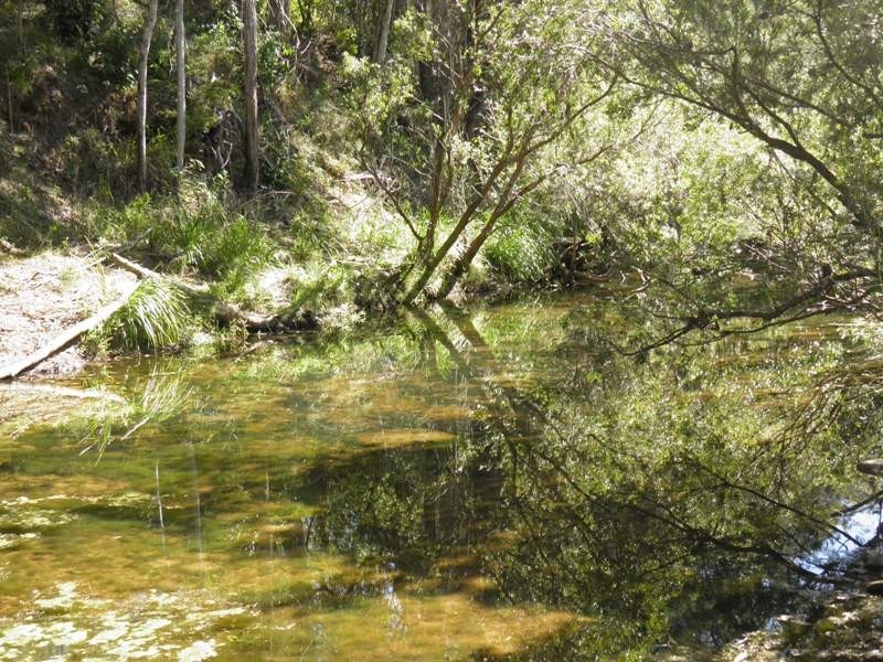 201 CHILDS ROAD, Boyne Valley QLD 4680