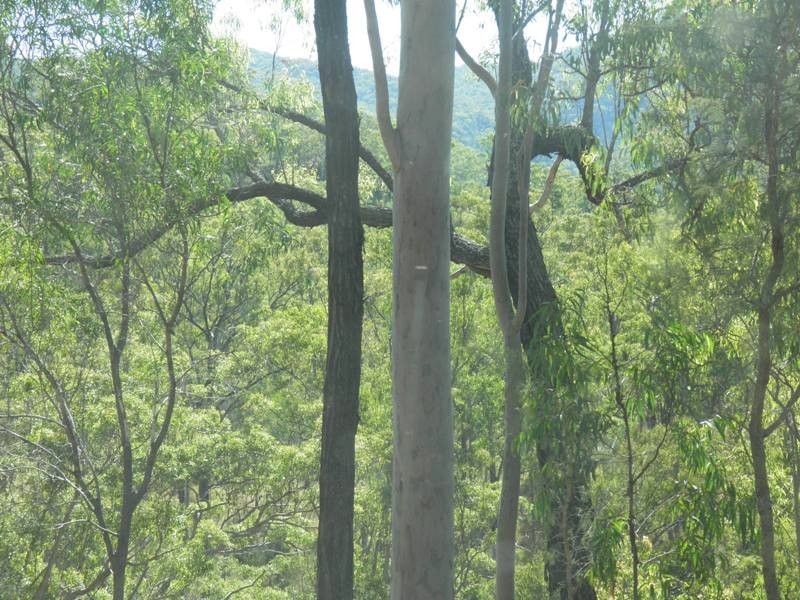 201 CHILDS ROAD, Boyne Valley QLD 4680