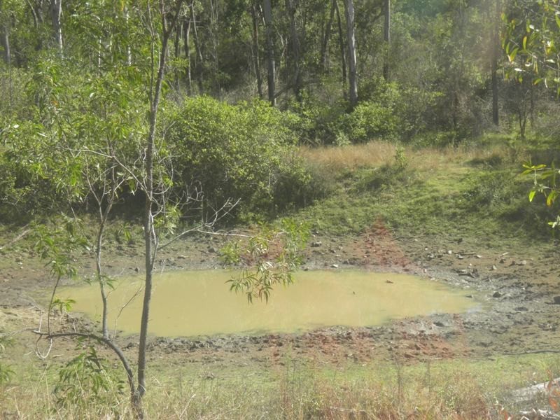 201 CHILDS ROAD, Boyne Valley QLD 4680