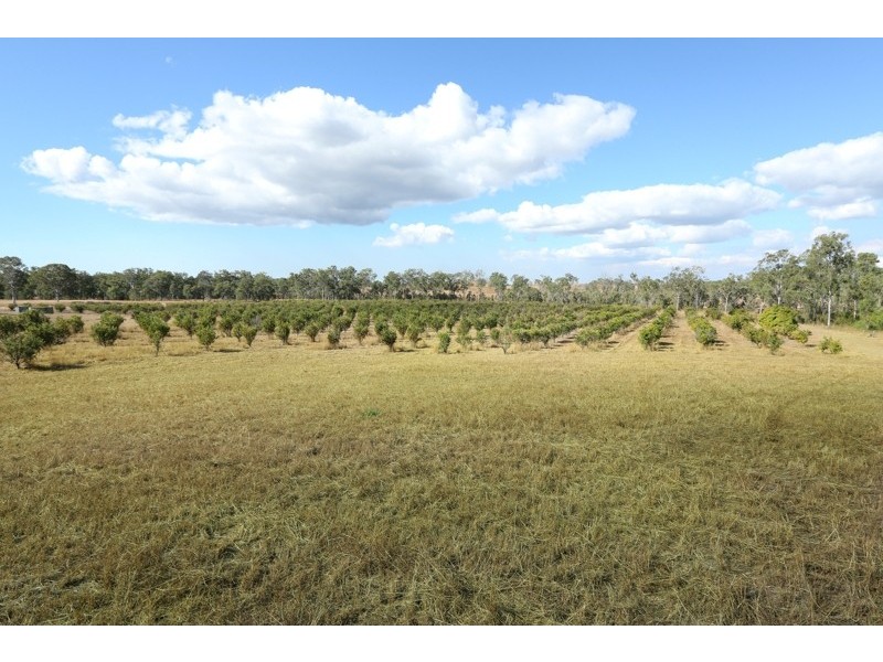 478 Racecourse Road, Calliope QLD 4680