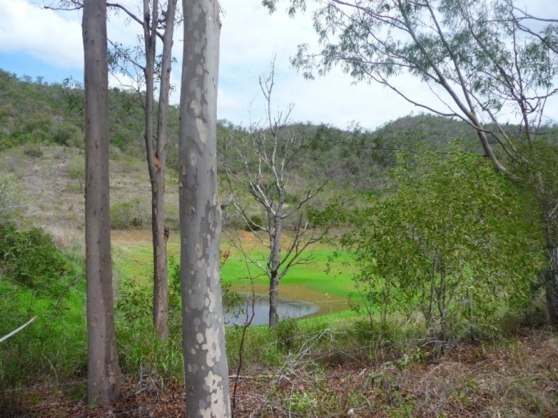 Lot 41 Hourigan Creek Road, Raglan QLD 4697