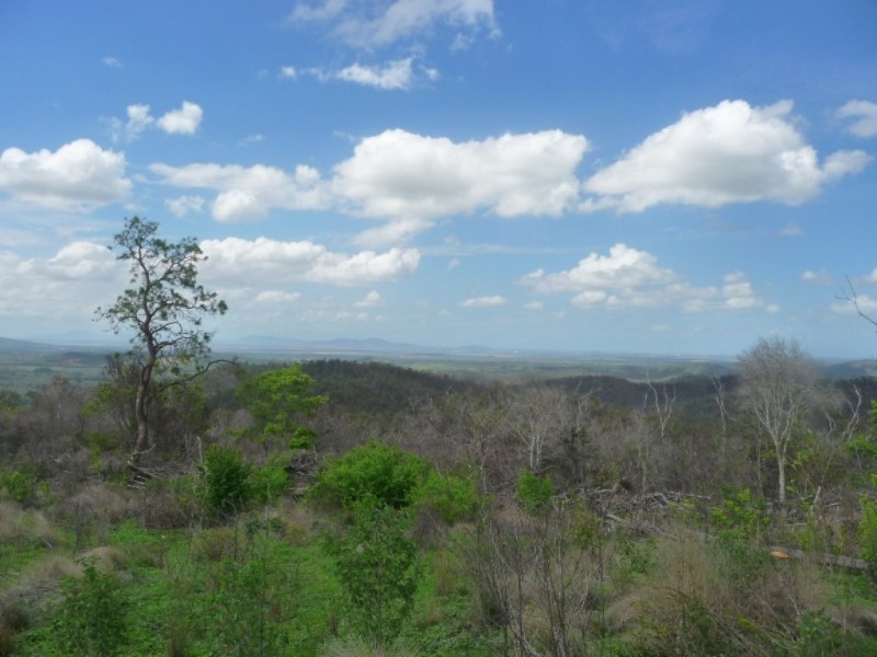Lot 41 Hourigan Creek Road, Raglan QLD 4697