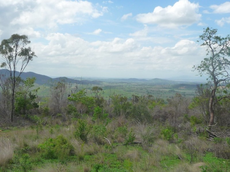 Lot 41 Hourigan Creek Road, Raglan QLD 4697