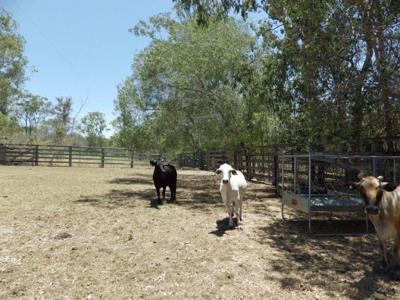 43312 Bruce Highway, Miriam Vale QLD 4677