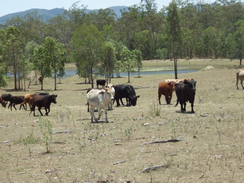 43312 Bruce Highway, Miriam Vale QLD 4677