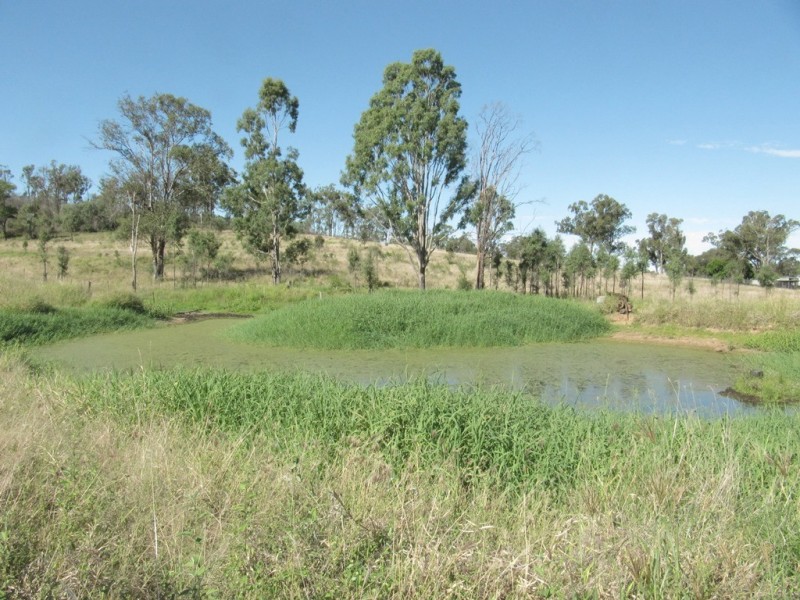 96 Engstrom Road, Ambrose QLD 4695