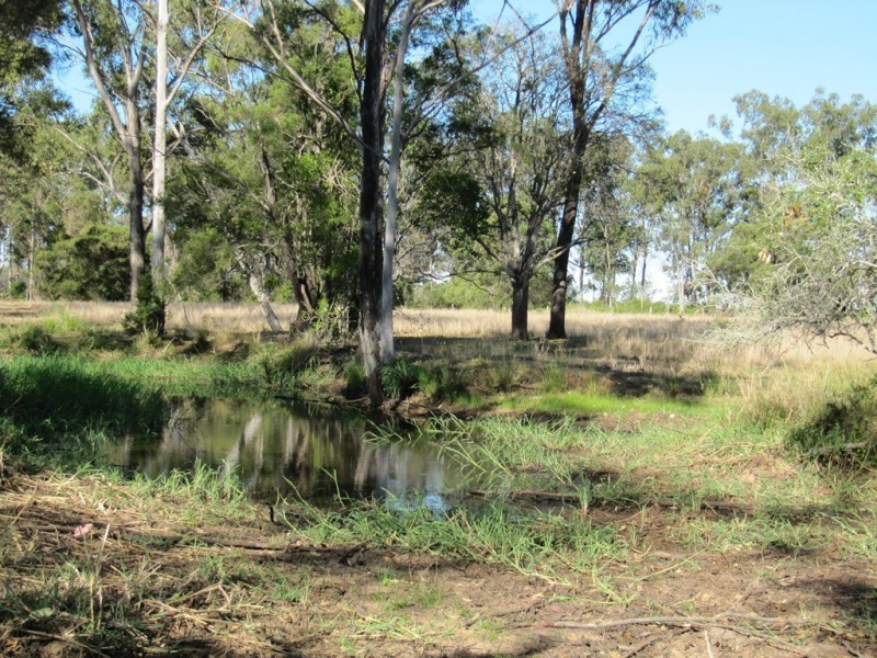 119 Dunnetts Road, Bracewell QLD 4695