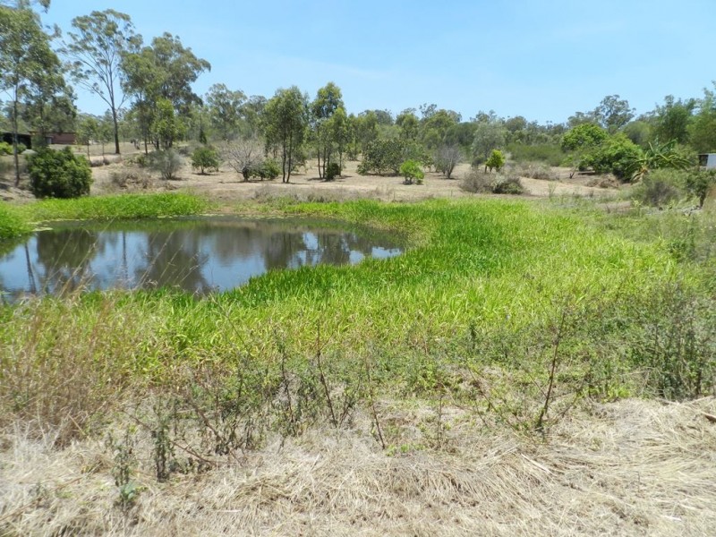 47 Mount Larcom-Bracewell Rd, Mount Larcom QLD 4695