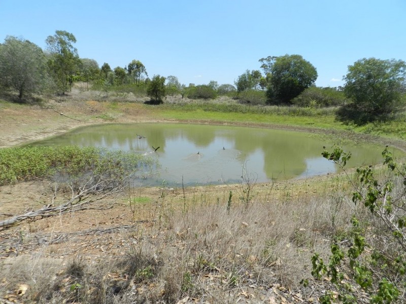 47 Mount Larcom-Bracewell Rd, Mount Larcom QLD 4695