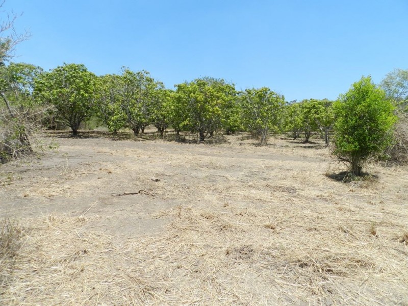 47 Mount Larcom-Bracewell Rd, Mount Larcom QLD 4695