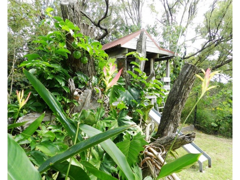 15 Berrigan Court, Kin Kora QLD 4680