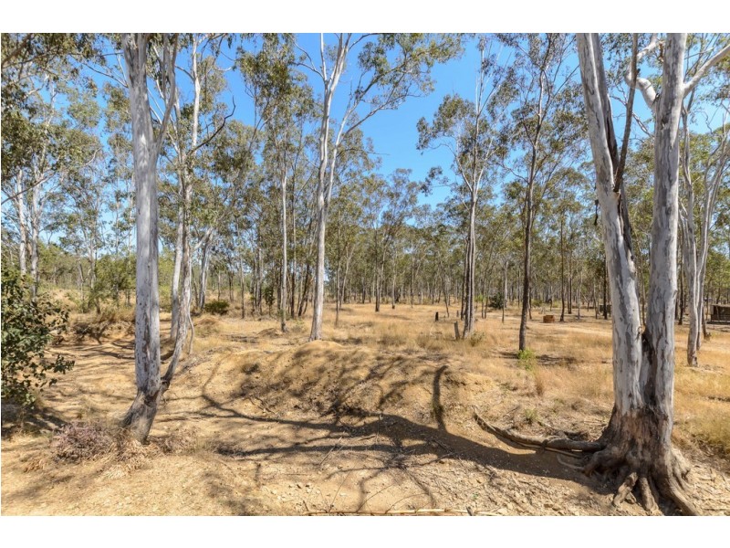 191 Darts Creek Road, Darts Creek QLD 4695