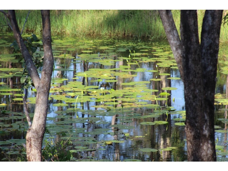 158 Bells Road, Turkey Beach QLD 4678