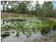 345 Bells Road, Rodds Bay QLD 4678