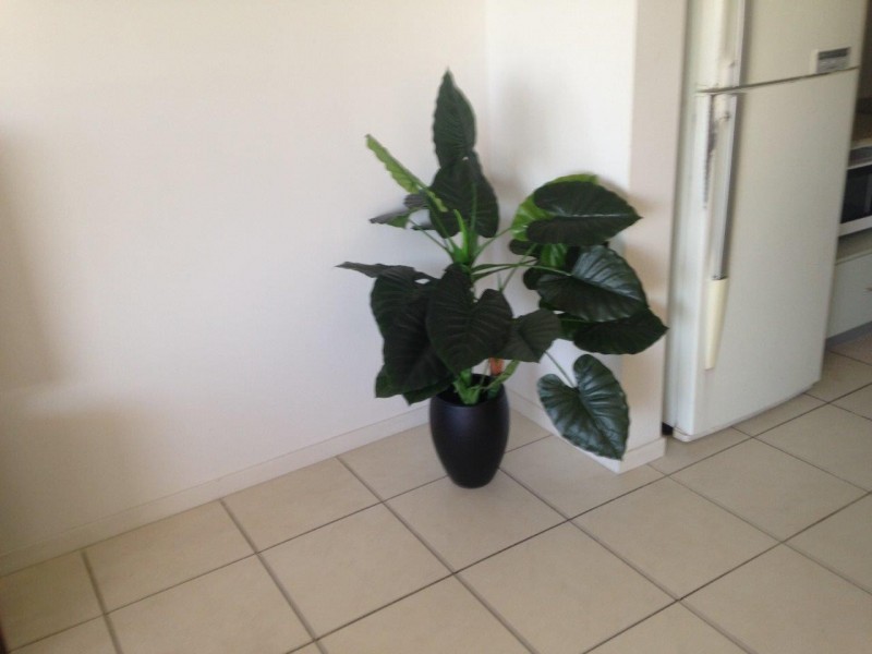 25/22 Barney Street, Barney Point QLD 4680