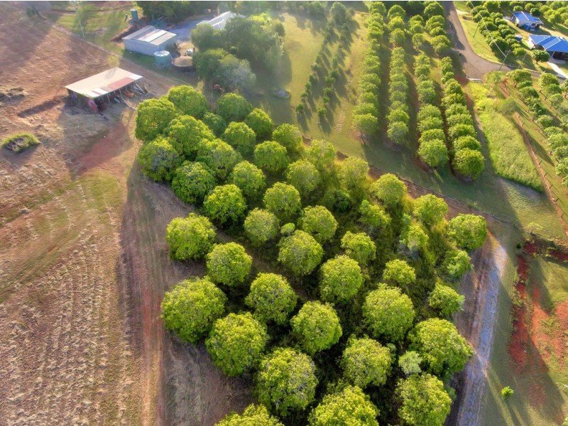 129 Siding Road, Beecher QLD 4680