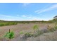 63 Surveyor Place, Beecher QLD 4680