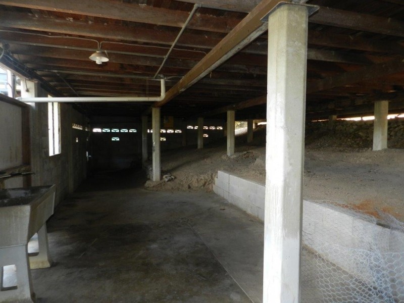 13 WARREN STREET, West Gladstone QLD 4680