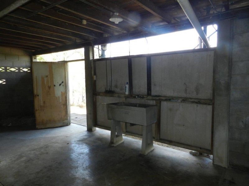 13 WARREN STREET, West Gladstone QLD 4680