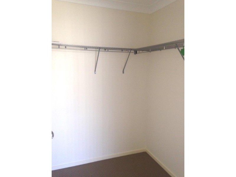 16 Daintree Blvd, New Auckland QLD 4680