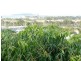 150B Oaka Lane, Gladstone QLD 4680