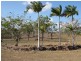 Lot 5 Bells Road, Rodds Bay QLD 4678
