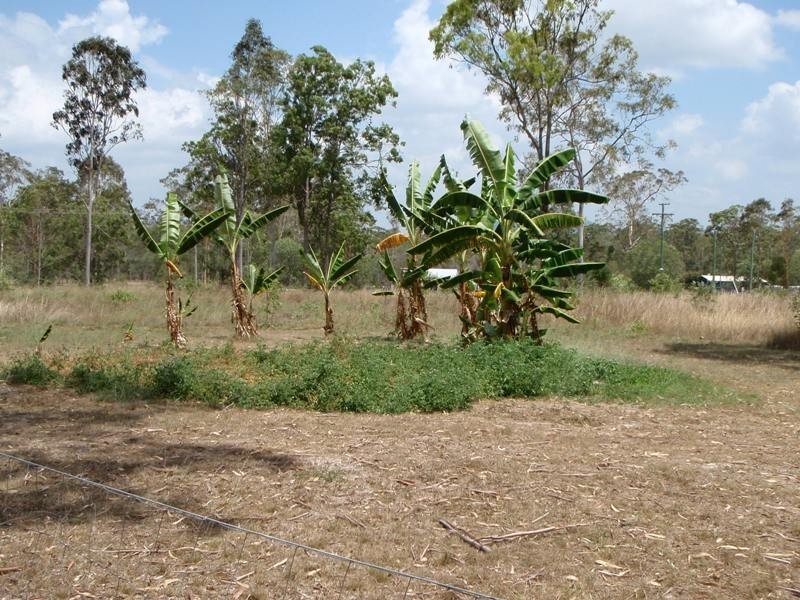 4 Wattle Court, Miriam Vale QLD 4677