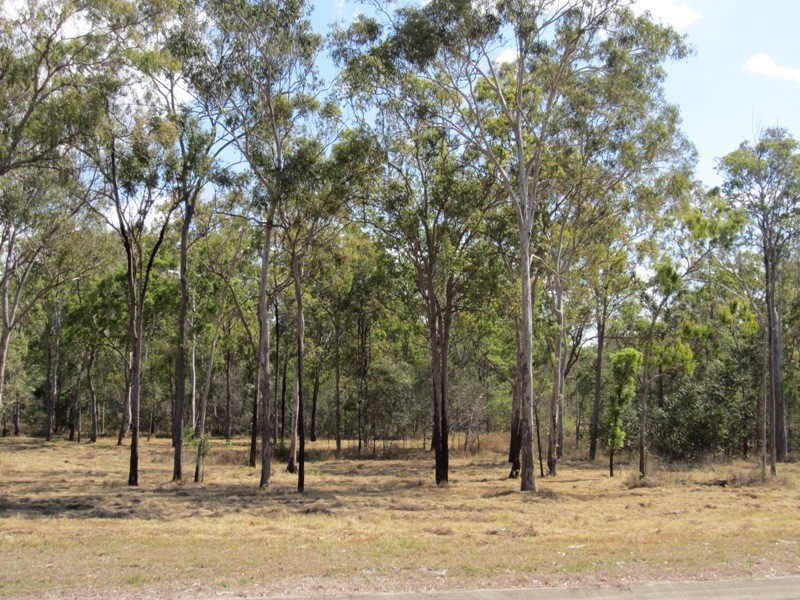 Lot 54 Messmate Drive, Miriam Vale QLD 4677